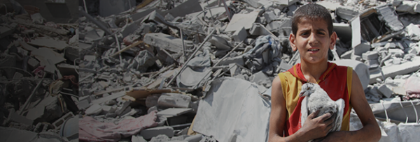 gaza boy holding bird