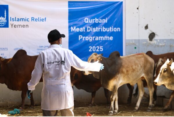 Islamic Relief a distribué de la viande de qurbani à 111 755 personnes au Yémen en 2024.
